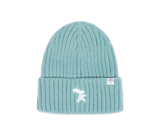 Mr. Clutterbuck Winter Hat Beanie Adult - Mint Green