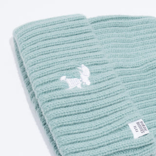 Mr. Clutterbuck Winter Hat Beanie Adult - Mint Green